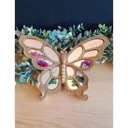 Papillon miroir or